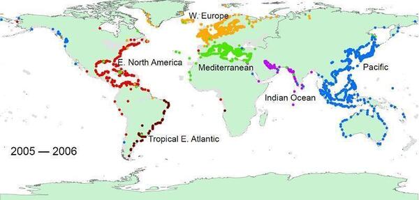 World map with coastlines displaying distinct colored points representing different regions during 2005-2006.